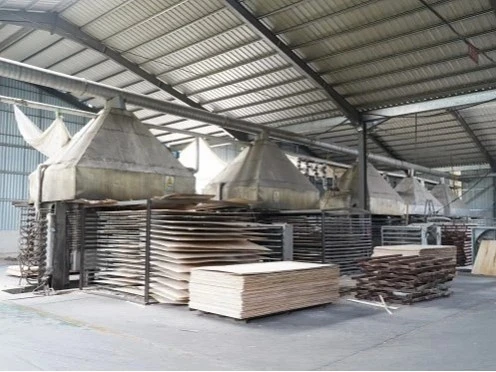 product-496-372 product-496-372